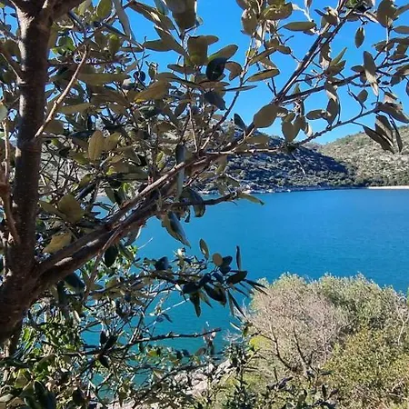 Holiday home Kuca Za Odmor Dean Pavicini