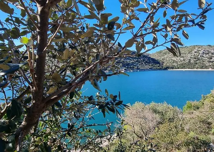 Σπίτι διακοπών Kuca Za Odmor Dean Pavicini